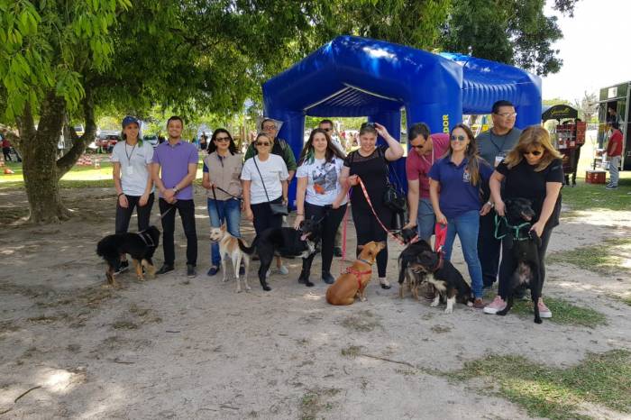Programação da semana contou com palestras em escolas, mostra fotográfica e distribuição de material informativo sobre posse responsável e zoonoses