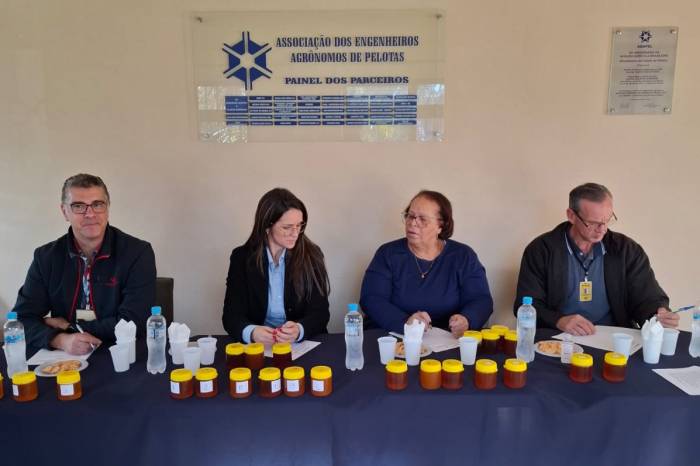 Jurados escolhem campeões de qualidade de mel nas categorias claro e escuro