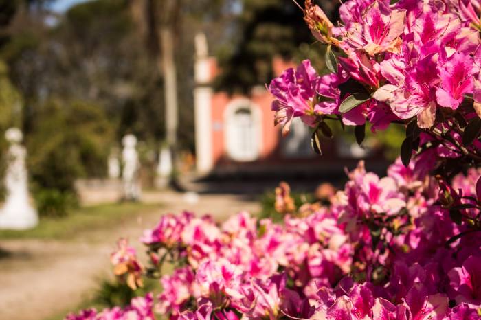 Daniela Brizolara e Dena Vargas se apresentam a partir das 16h; visitação continua no fim de semana