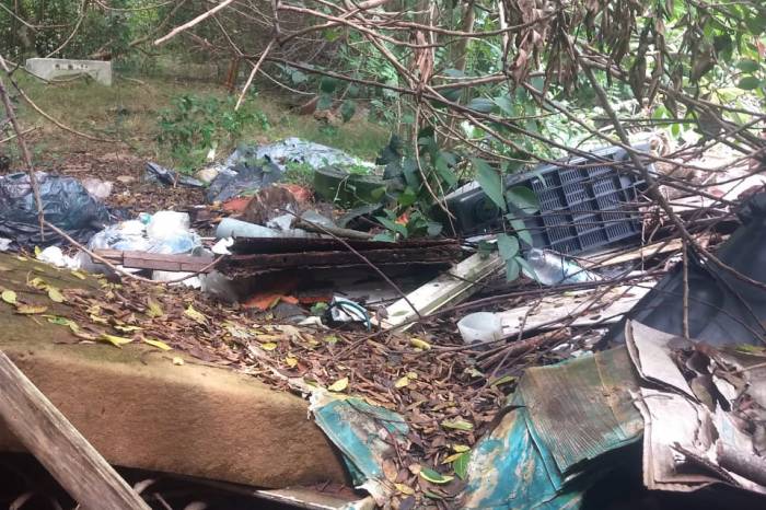 Todos os casos foram identificados pela Vigilância Ambiental em Saúde durante a primeira quinzena de janeiro
