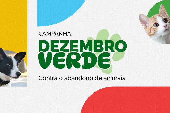 Campanha Dezembro Verde conscientiza contra o abandono de animais