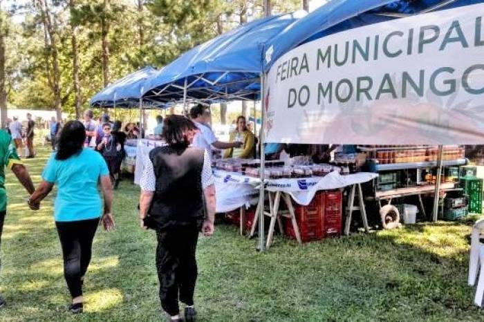 Secretaria de Desenvolvimento Rural acompanhará as cortes para promover os dois eventos