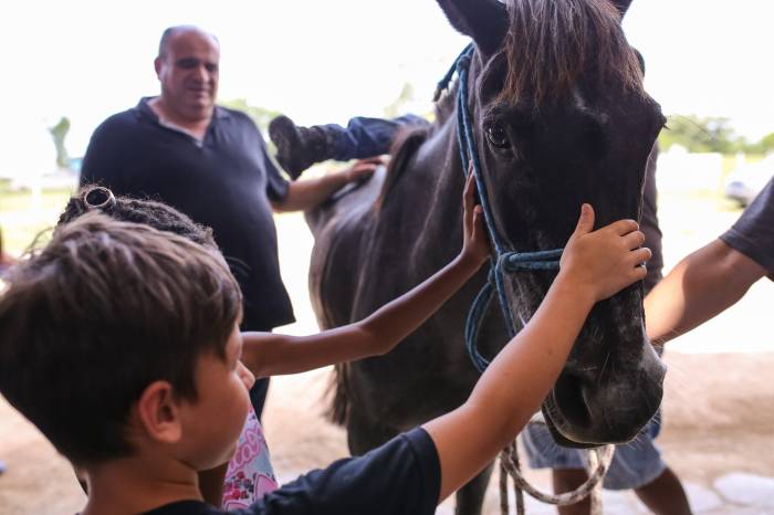Estudantes tiveram contato com cavalos, porcos e ovelhas. Atividade fez parte da programação da 1ª Semana da Proteção Animal