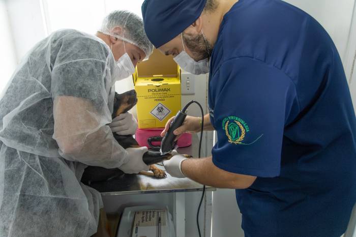 Prefeitura abre cadastro do Castramóvel para o bairro Dunas