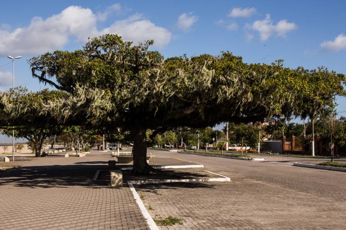 Município esteve acima da média estadual nos sete dias analisados