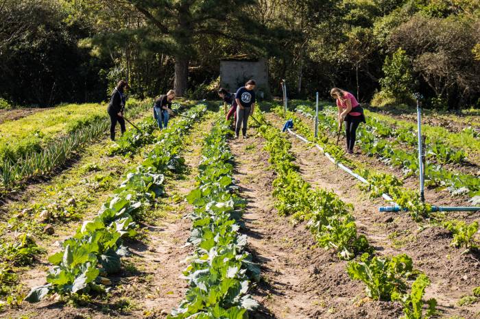 Emef Dona Maria Joaquina, no Cerrito Alegre, alternará atividades agrícolas, de robótica, produção textual e esporte para 100 alunos do 6º ao 9º ano