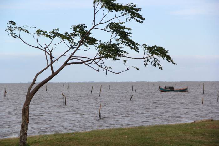 Pescadores da Colônia Z3 encerram atividades nesta quinta-feira (31) e voltam às embarcações dia 1º de outubro