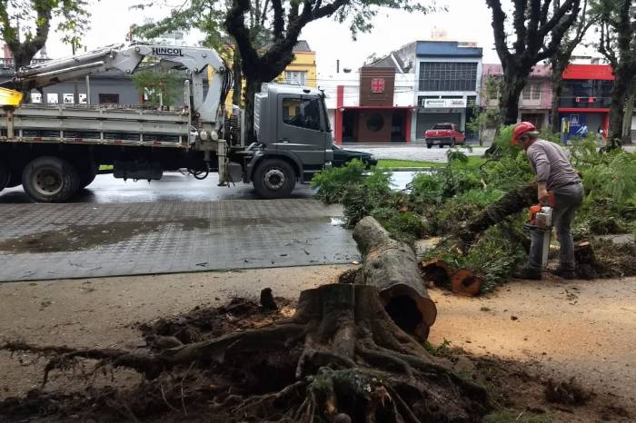 Município já contabilizou 345 mm em 18 dias; número é três vezes o previsto para o mês