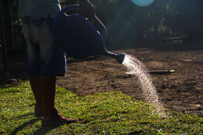 Plantio de grama deve ser concluído no sábado. Fiscalização das intervenções é feita pela Secult