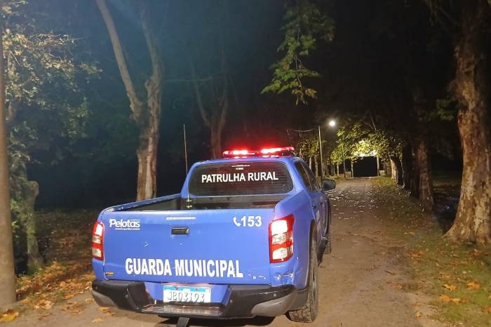 Ação foi realizada pela patrulha rural no sábado (24) após denúncia