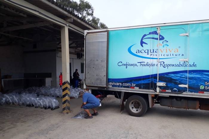 Programa beneficia 66 produtores de 13 espécies de peixes na zona rural