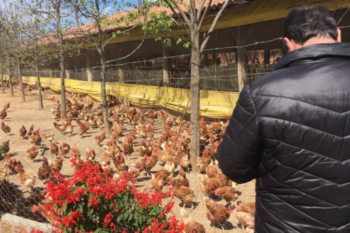 Sete empreendimentos de produtos de origem animal, instalados neste governo, receberam visita técnica