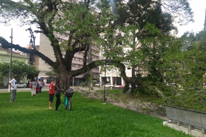Secretaria aguarda pareceres técnicos para a próxima semana. Laudos apontarão causas e medidas preventivas