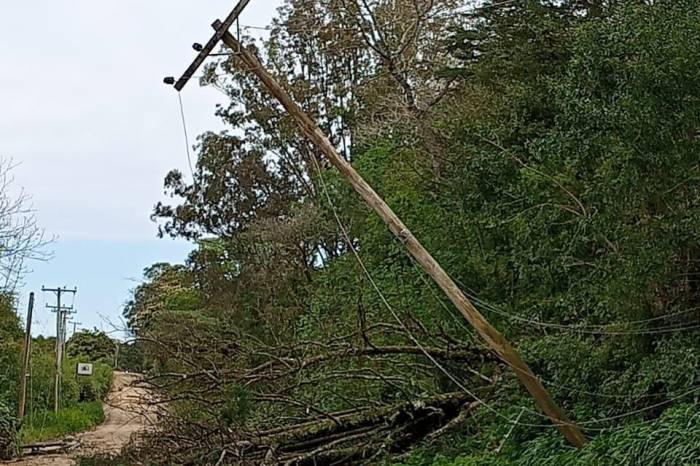 As ações de reparos e suporte na colônia após o evento climático extremo se intensificam em diferentes distritos