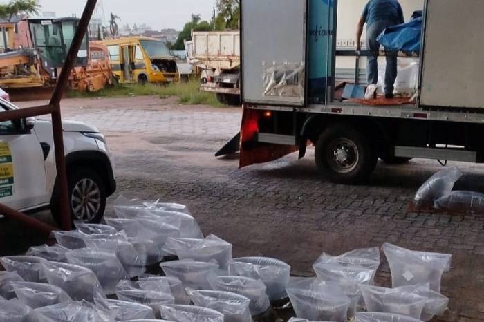 Neste ano, já foram entregues cerca de 25 mil unidades para povoar açudes e barragens do interior