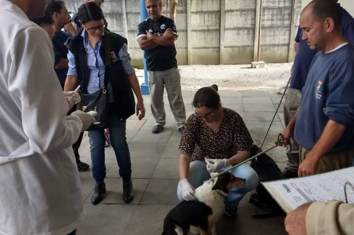 Capacitação de médicos veterinários, agentes de Combate a Endemias e demais servidores ocorreu no Canil Municipal