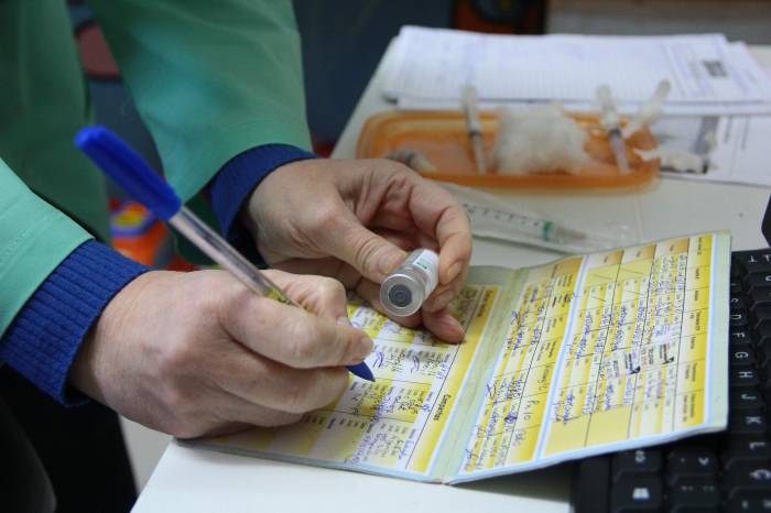 Primeira etapa imuniza bebês de 6 meses à 'gurizada' menor de 5 anos. Segunda fase destina-se a jovens de 20 a 29 anos