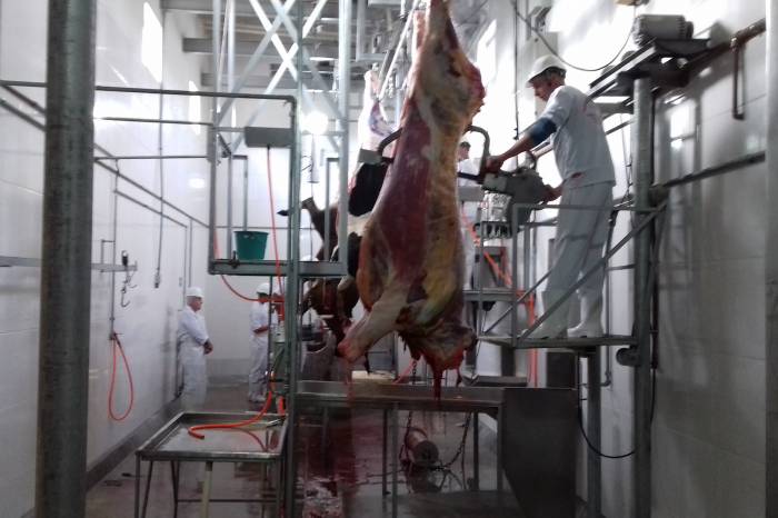 Mais de 21 mil cabeças de bovinos, ovinos e suínos foram abatidas pelos oito estabelecimentos registrados