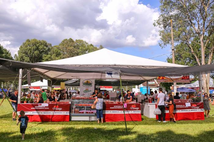 Equipes trabalham na demarcação de espaços e na montagem de gazebos; transporte será facilitado