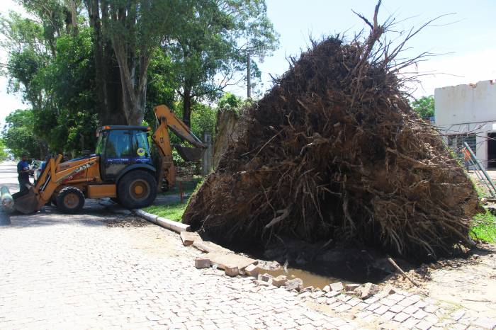 Pelotas registrou, desde o início do mês, 350 milímetros de chuva, três vezes mais do que a média esperada para todo o janeiro