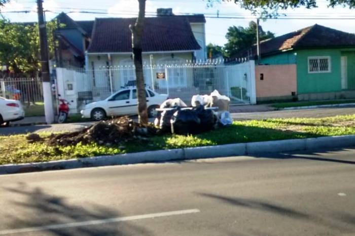 Canteiros da avenida Domingos de Almeida receberam lixo, logo após o trabalho das equipes da limpeza ser finalizado