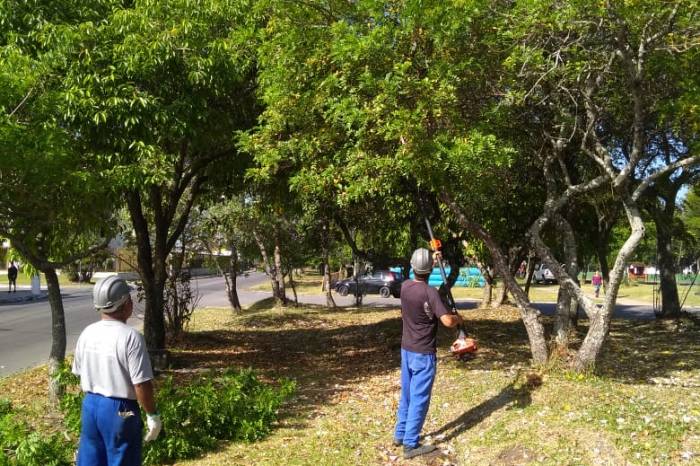 Secretaria de Qualidade Ambiental atende pedidos feitos nos canais de Ouvidoria da Administração municipal