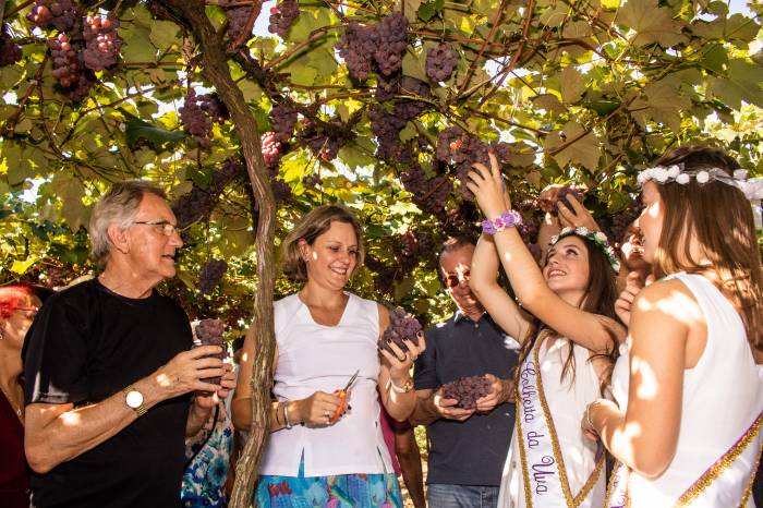 8º distrito, Rincão da Cruz, foi palco de grandes festividades neste domingo