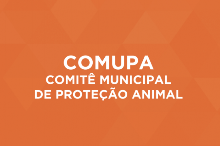 Membros se reuniram no Paço Municipal nesta quinta-feira (20)