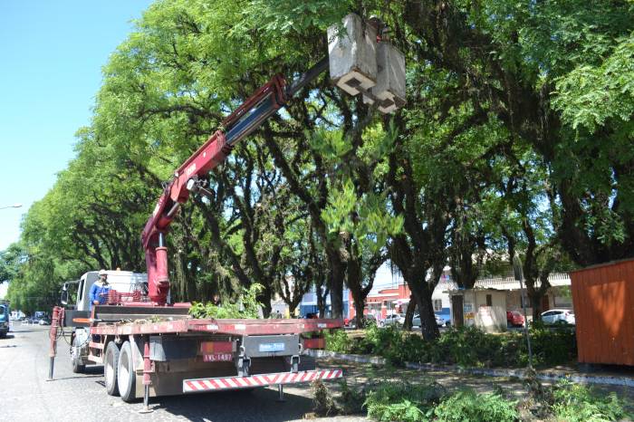 Empresa, com supervisão de biólogos, faz podas e supressões, que asseguram saúde às plantas. Via ganhará plantio de 616 arbustos