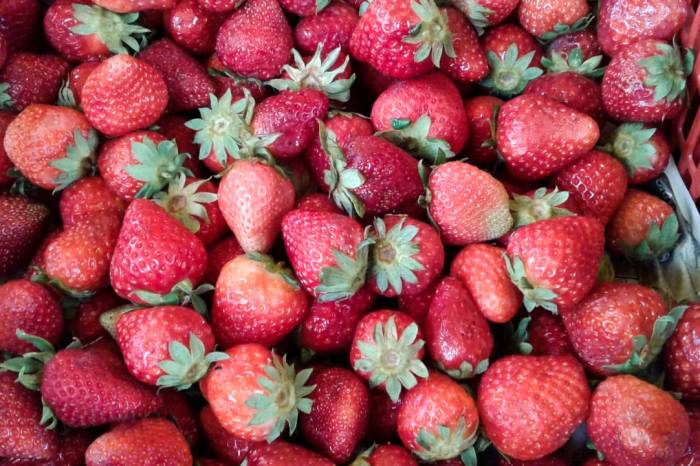 SDR segue apoiando produtores para comercialização da fruta