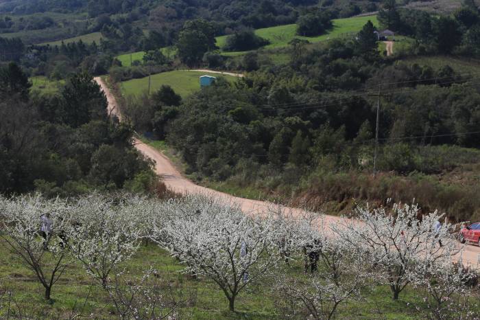 Além de cursos profissionalizantes, Serviço Nacional de Aprendizagem Rural participará da vida rural com tecnologia e assistência técnica