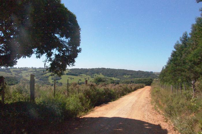 Secretários de Agricultura vão tratar de projetos para a Consulta Popular