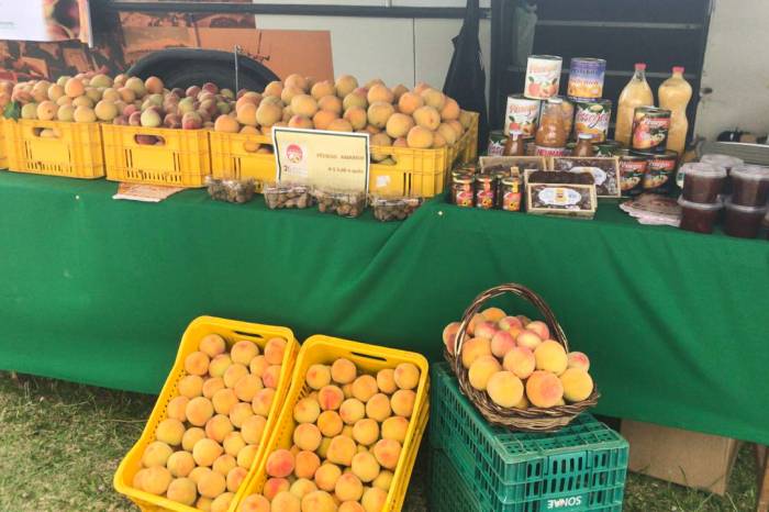 Público encontrará atrações, feira, produtores, artesanato, almoço-dançante, banda, humor e farta gastronomia