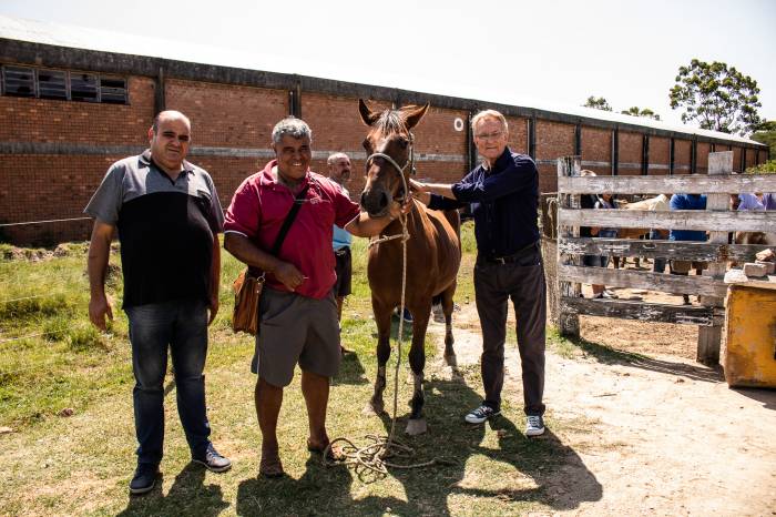 Animais foram encaminhados para novos donos na primeira doação de 2020