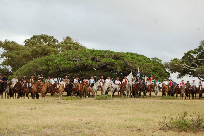 Saída será da cidade de Barra do Ribeiro. Pelotas é o destino final da comitiva de cavaleiros