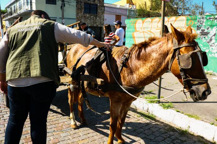Ação busca conscientizar os condutores sobre a importância do emplacamento dos veículos, além orientá-los sobre os cuidados com os animais.