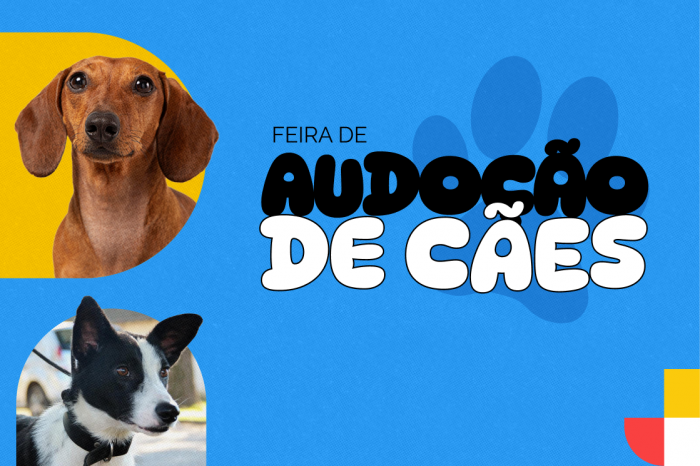 Evento no Parque da Baronesa neste sábado busca promover adoção e conscientização