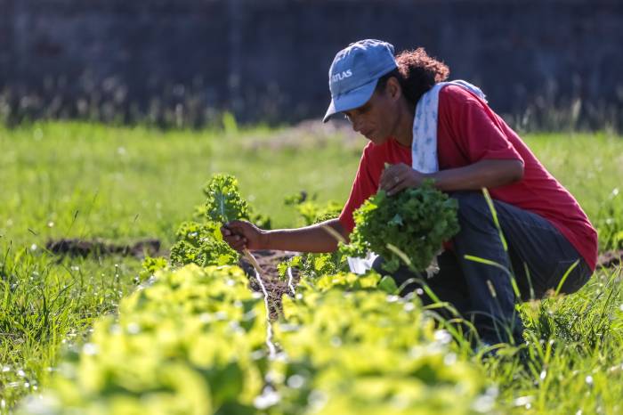 Projeto do Cras São Gonçalo oportuniza alimentação saudável a famílias vulneráveis socioeconomicamente