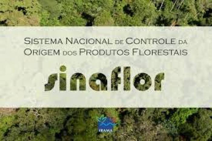 O Sinaflor, instituído como o canal oficial de solicitação das autorizações, ainda não foi liberado para Pelotas. Por enquanto, Fepam concede as licenças