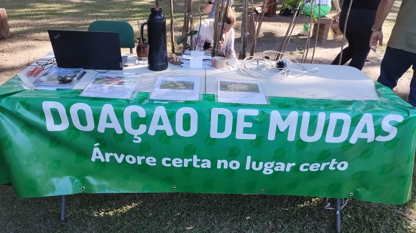 SQA já entregou 128 árvores nativas à população em eventos desde o final abril