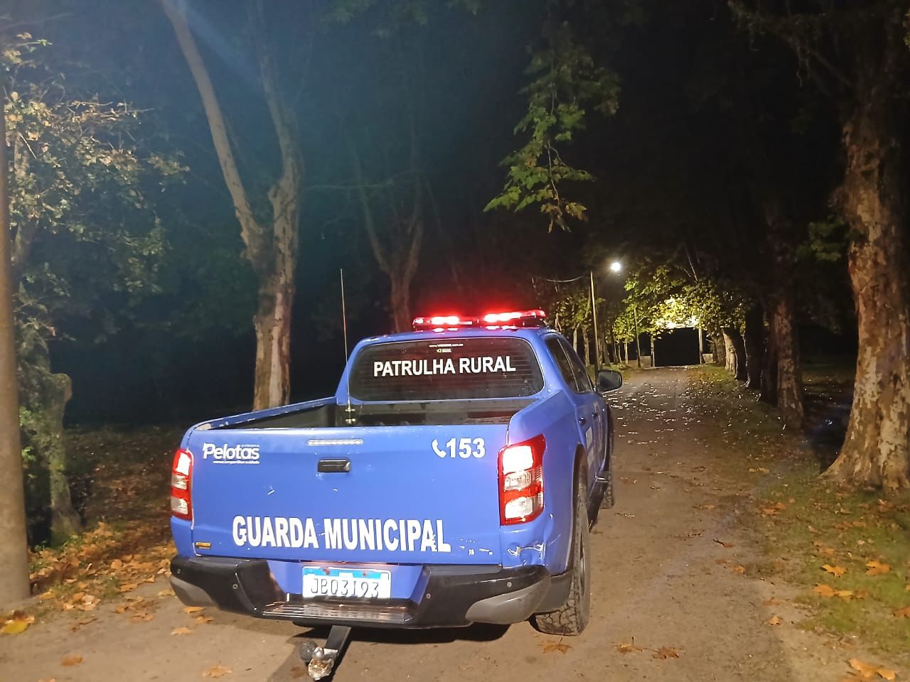 Ação foi realizada pela patrulha rural no sábado (24) após denúncia