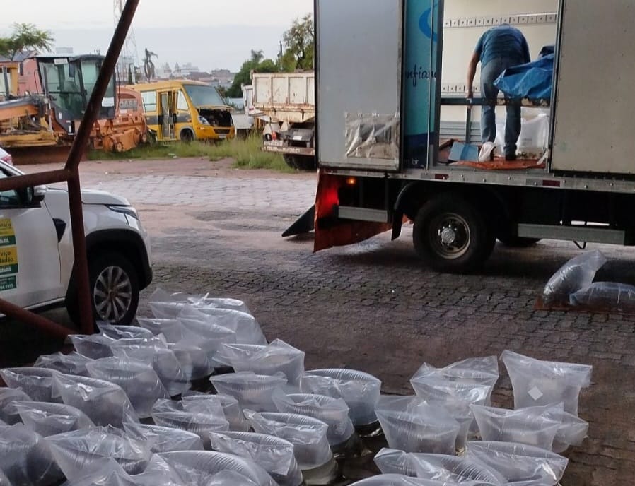 Neste ano, já foram entregues cerca de 25 mil unidades para povoar açudes e barragens do interior
