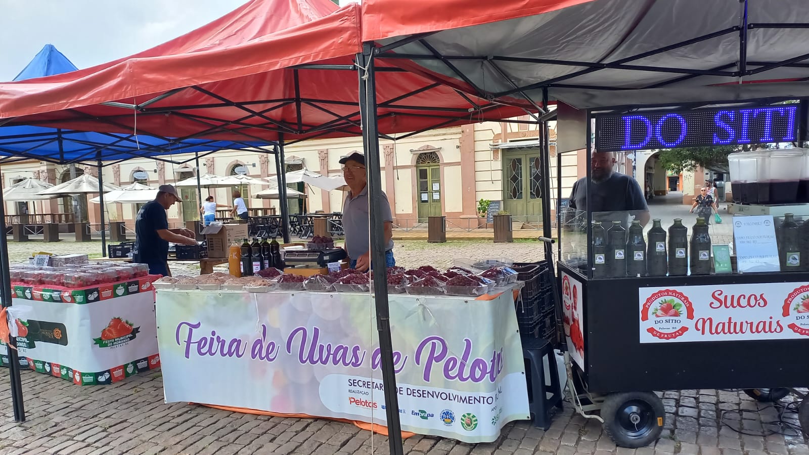 Comercialização direta das frutas beneficia produtores e consumidores