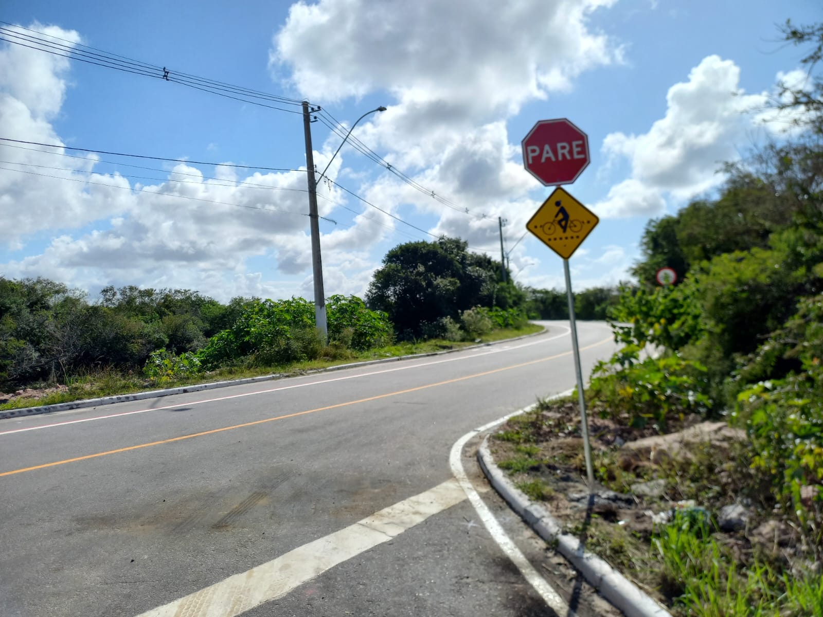 Desde o início do processo, há dez dias, foram furtadas 14 das 75 sinalizações instaladas ao longo da via