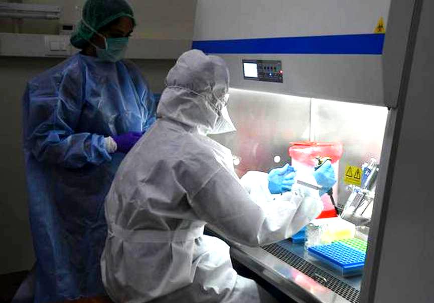 Coronavírus: testes rápidos, fornecidos pelo governo estadual e aplicados pelo Município, são os exames com maior acréscimo ─ 31,7%