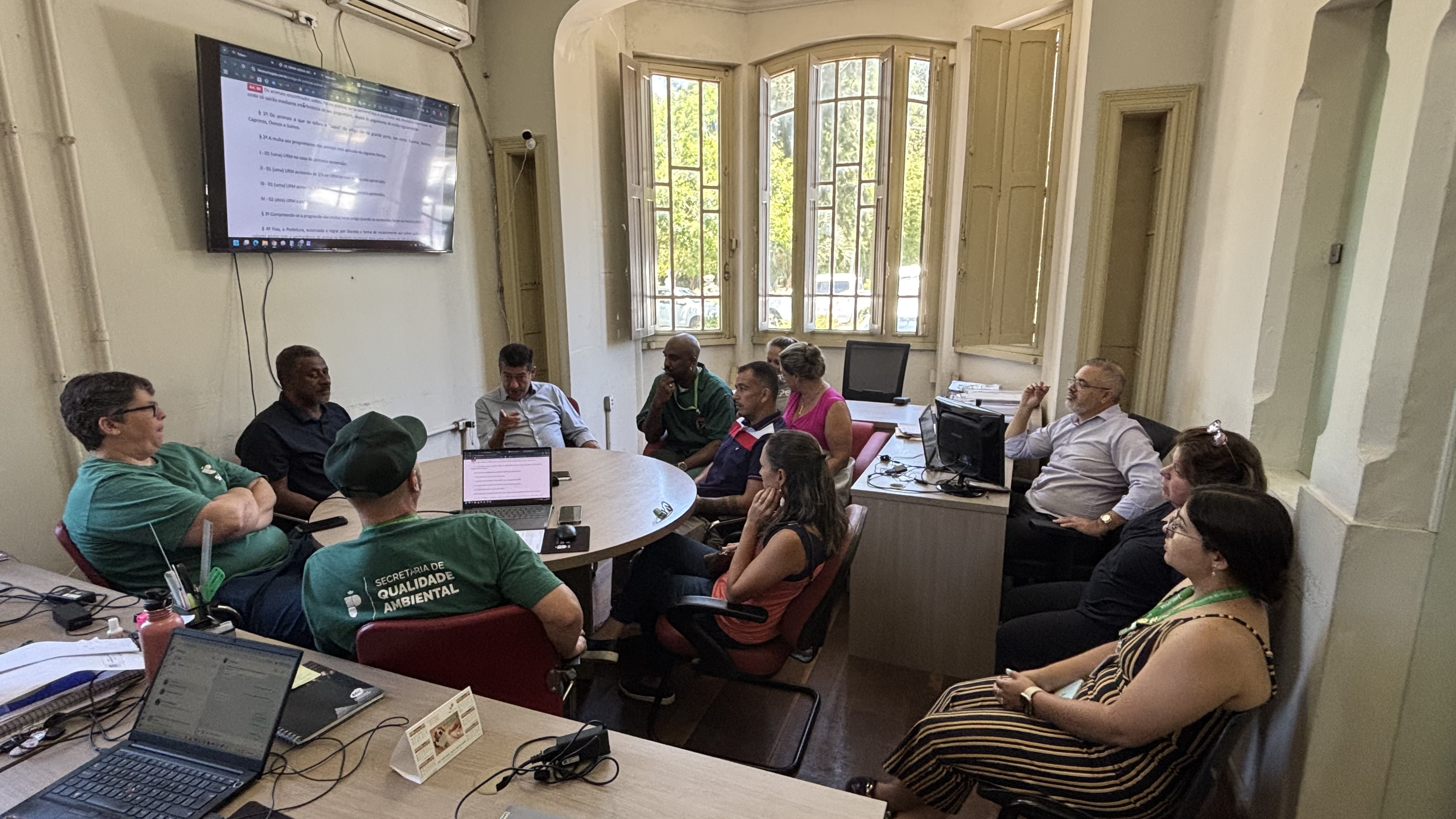 A ação busca impedir que cavalos soltos em vias públicas causem acidentes e atentem contra a segurança