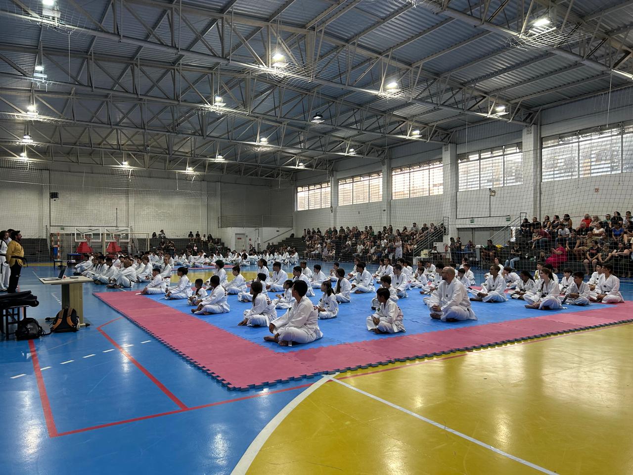 Serão disponibilizadas vagas gratuitas para interessados em atividades esportivas como ginástica artística, taekwondo, voleibol, atletismo, handebol e basquete.