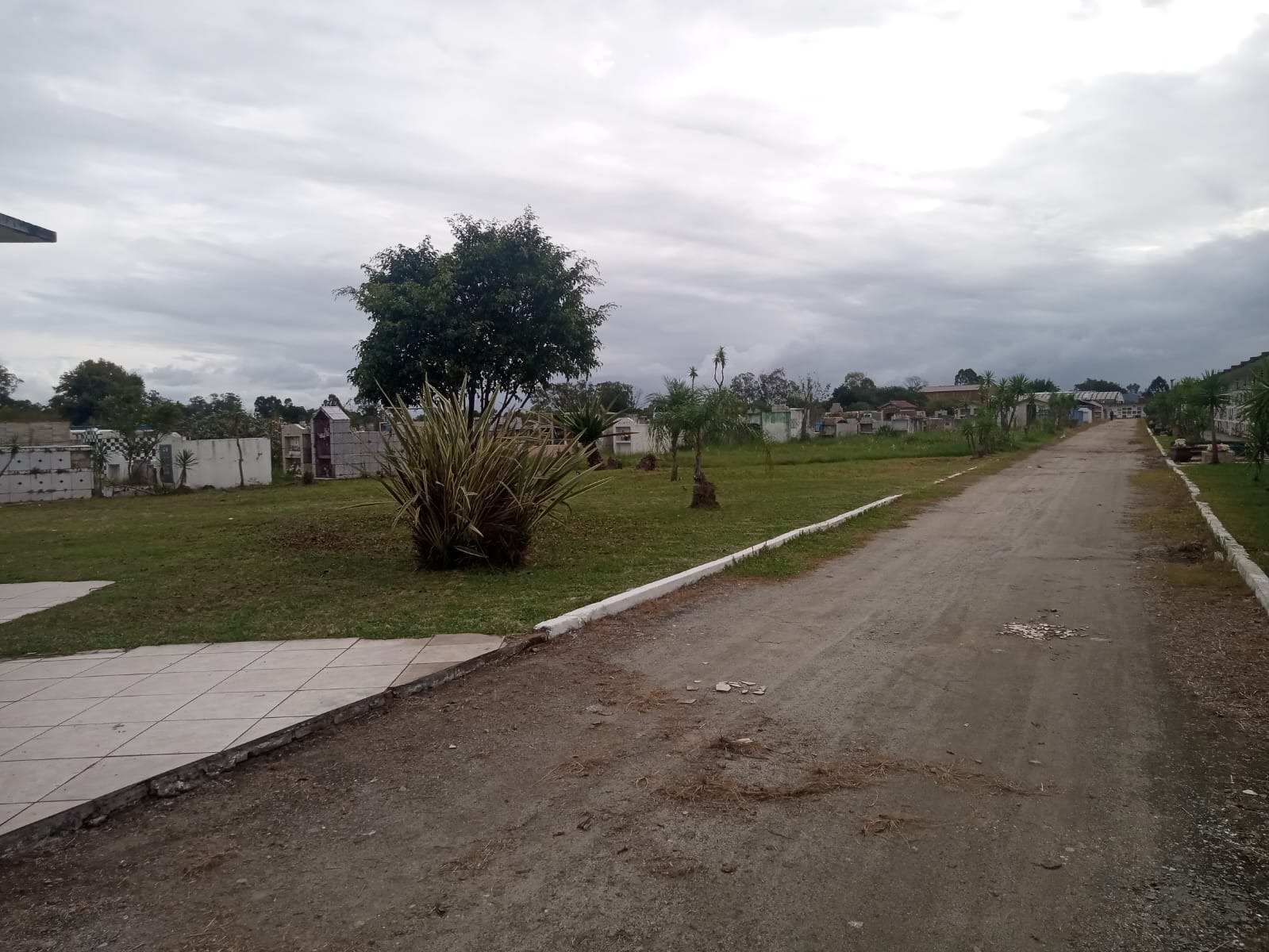 A partir de segunda-feira (27), Secretaria de Serviços Urbanos e Infraestrutura (Ssui) começa a preparar espaço para as visitas no Dia das Mães