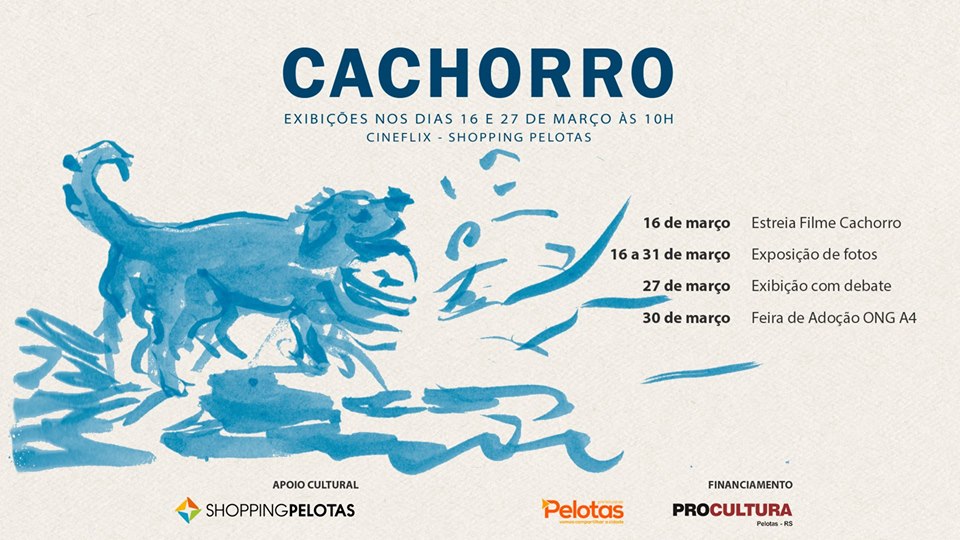 Filme sobre cães de rua foi produzido pela Noz Audiovisual