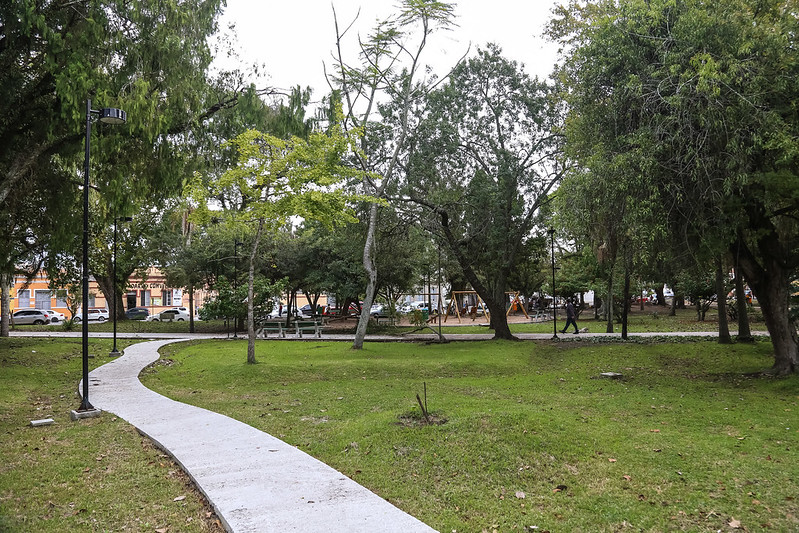 Representantes da sociedade civil e do Poder Público, interessados em fazer parte do Conselho de Proteção Ambiental de Pelotas, podem se inscrever entre os dias 26 de abril e 7 de maio